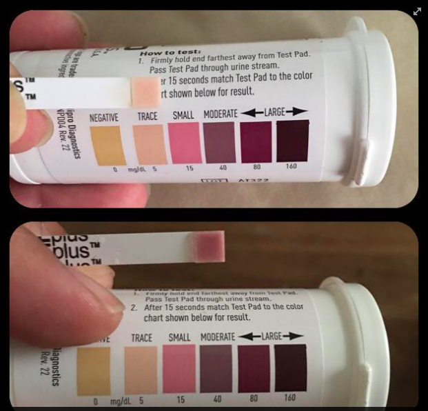 Low Carb Program Nutritional KETOSIS and ketoacidosis their crucial